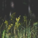 석정골프연습장 이미지