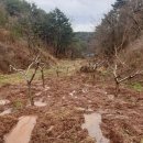 윤형농장 이미지