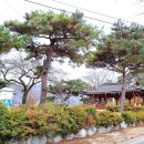 대장금마실길(2코스) 이미지