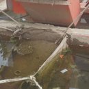 ㈜태백산업 이미지