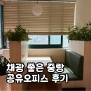 딱이야 오피스 | 채광 좋은 공유오피스 드림캐쳐스 중랑면목점 다녀온 후기!