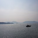 블루디아나
