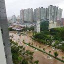 광천-비상-5 이미지