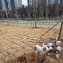 문화공원 이미지