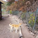 장군농장 이미지