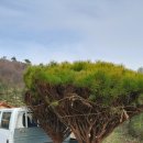 재한농장 이미지