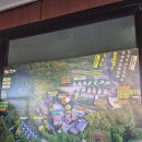 하이몽 | 가평 애견동반 펜션 추천 가성비 좋은 가평 하이몽 애견 펜션 후기