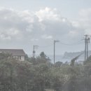 한 수산 이미지