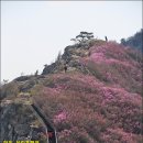 둔덕7길 이미지