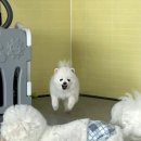 루이야 놀고 자고 GO 이미지