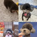 개운한날 이미지