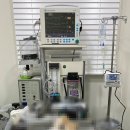 뉴케어동물병원 이미지