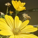 주말엔 잠깐 휴식 모드 ON 😴🌼 이미지
