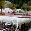 제주건강과 性 박물관 이미지