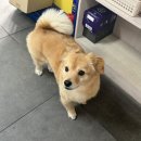 금강공업사 이미지