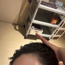 주식회사 킹덤허브 | 잠실 두피관리 모바이오 송파문정점 프라이빗룸에서 힐링케어받기