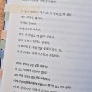 돈조세