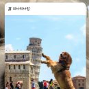 댕스피크닉 이미지