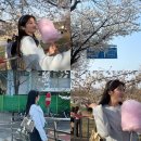 (주)퍼니비소프트 | 3월 마지막주 &amp; 4월 첫째주 포토 다이어리 (3월은 하루밖에 없는, 벚꽃 구경🌸)
