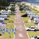 망상리조트 자동차캠핑장 이미지