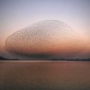 마음의 문 이미지