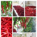 최선농장 이미지