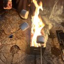 함평군 돌머리캠핑장 이미지