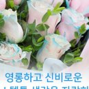 원모먼트