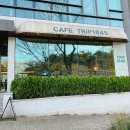 트립1849 티스토리