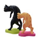 바로척척의원 이미지