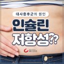 [카드뉴스] 대사증후군의 원인 ‘인슐린저항성’? 이미지