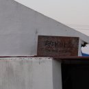 바당조끄띠 이미지