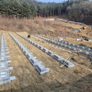 장성잔디생산자영농법인 이미지