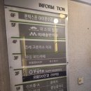 마이비인후과 네이버블로그