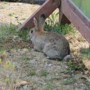 새봄펜션 이미지