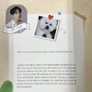 잘생긴팝콘