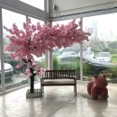모운 | [내돈내산] 남원 모운 / 남원 대형 카페 / 주차