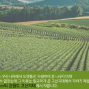 유정농원 이미지