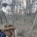 사계절자연산약초