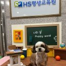 대한직업평생교육원