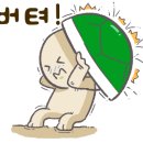 터틀레더