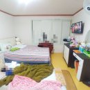 사하구-17 이미지