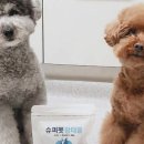 SY하나로유통 이미지