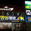 유성대로1 이미지