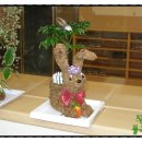 보둠이나눔이어린이집 이미지