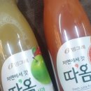 갓;따옴 이미지