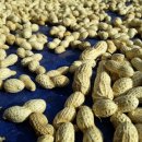 인평농장 이미지