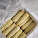 원주남부 복합체육센터 화장실 | 3.26 옥수수주문, 원주 남부복합체육센터 자유수영, 중랑구민체육센터 피아노강습, 중랑문화체육관 수영...