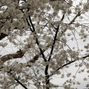 우산각공원 이미지