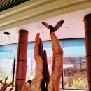 경상남도수목원박물관 이미지